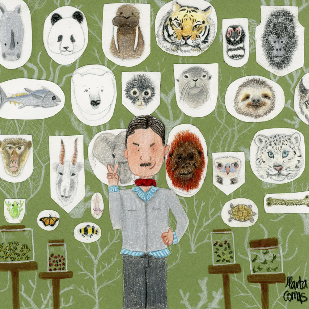 ANIMALS EN EXTINCIO