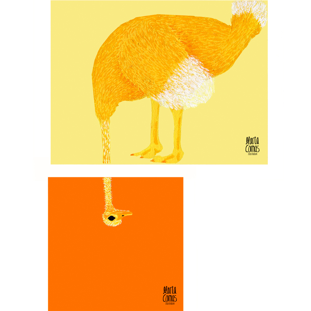 IL·LUSTRACIÓ ORIGINAL, Estruç